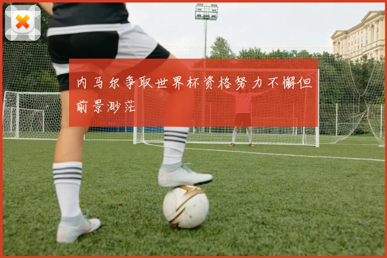 内马尔争取世界杯资格努力不懈但前景渺茫