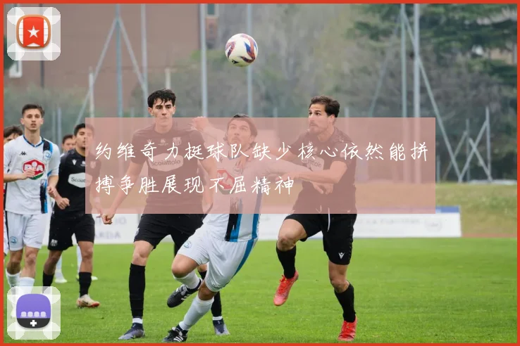 约维奇力挺球队缺少核心依然能拼搏争胜展现不屈精神