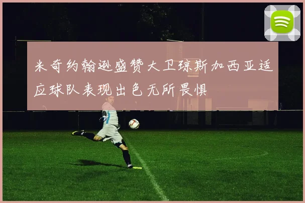 米奇约翰逊盛赞大卫琼斯加西亚适应球队表现出色无所畏惧